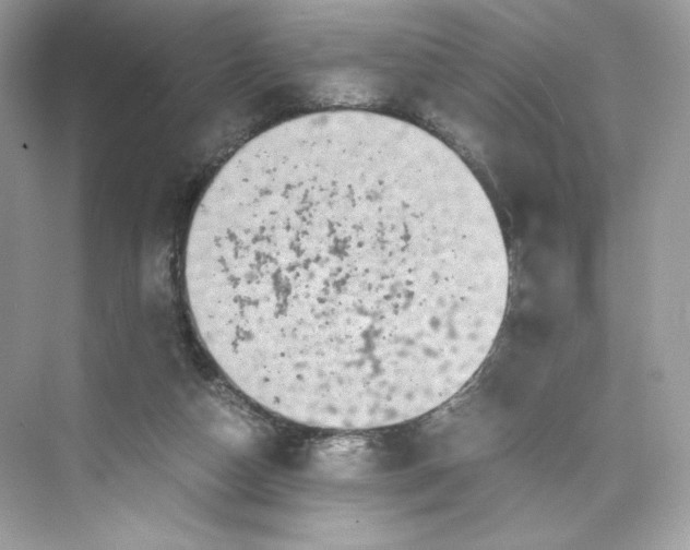 X0000075840162200609291447