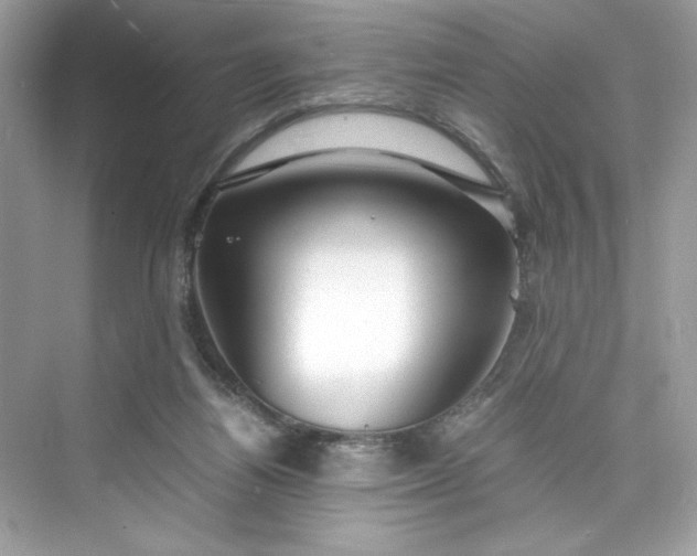 X0000075840164200609291447