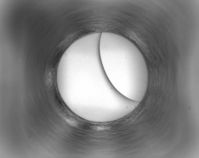 X0000075840165200609291447