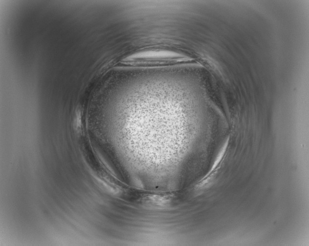 X0000075840166200609291447