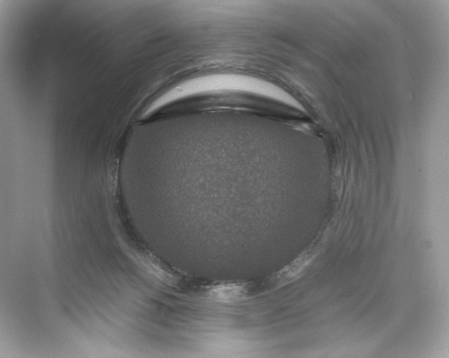 X0000075840168200609291447