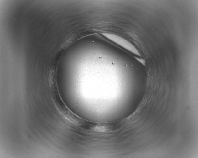 X0000075840171200609291447