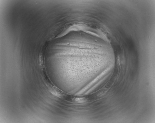 X0000075840173200609291447