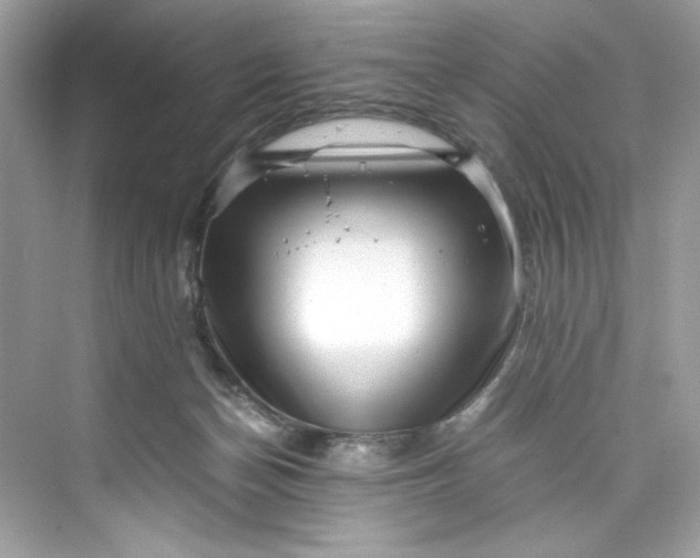 X0000075840174200609291447