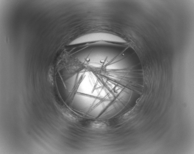 X0000075840175200609291447