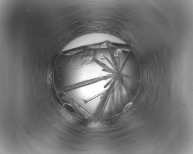 X0000075840177200609291447