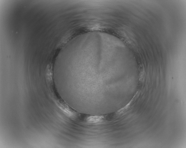 X0000075840179200609291447