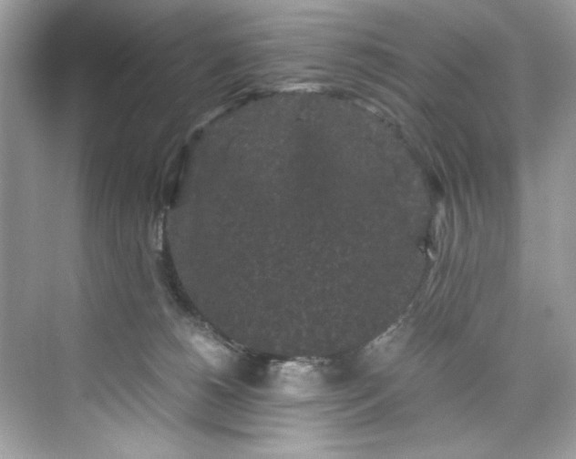 X0000075840180200609291447