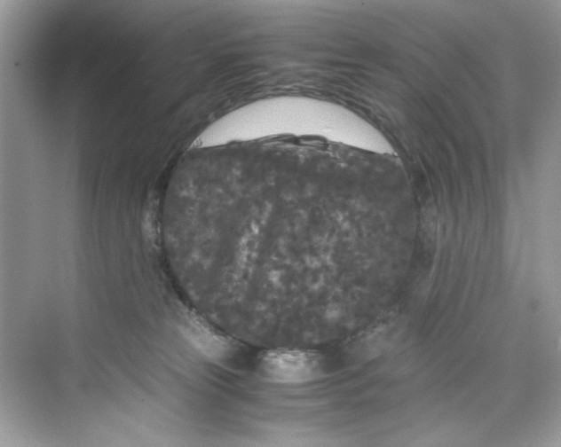 X0000075840181200609291447