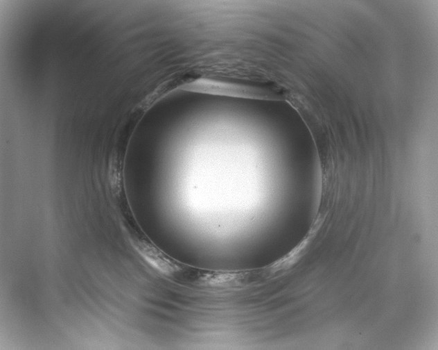 X0000075840186200609291447