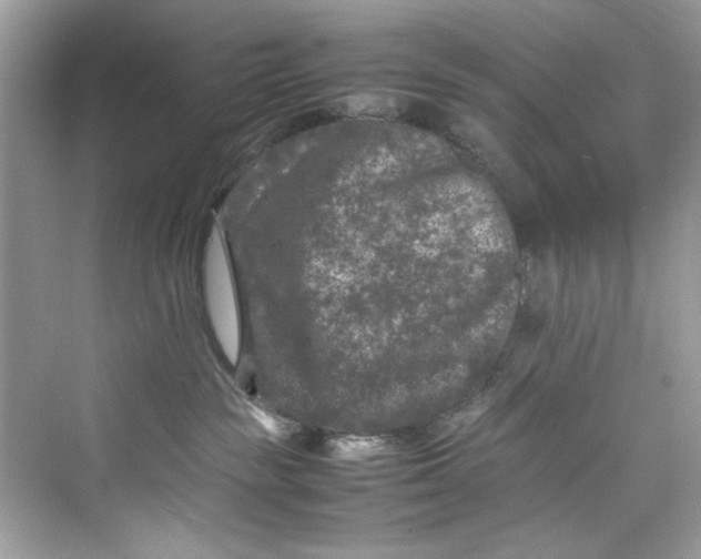 X0000075840189200609291447