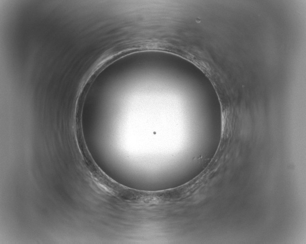 X0000075840195200609291446