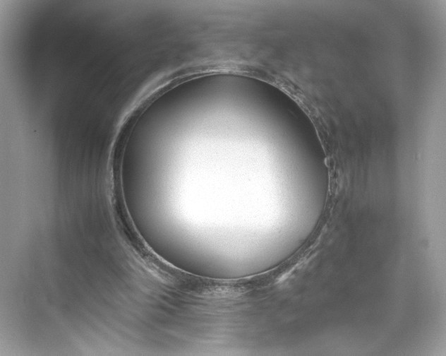 X0000075840198200609291446