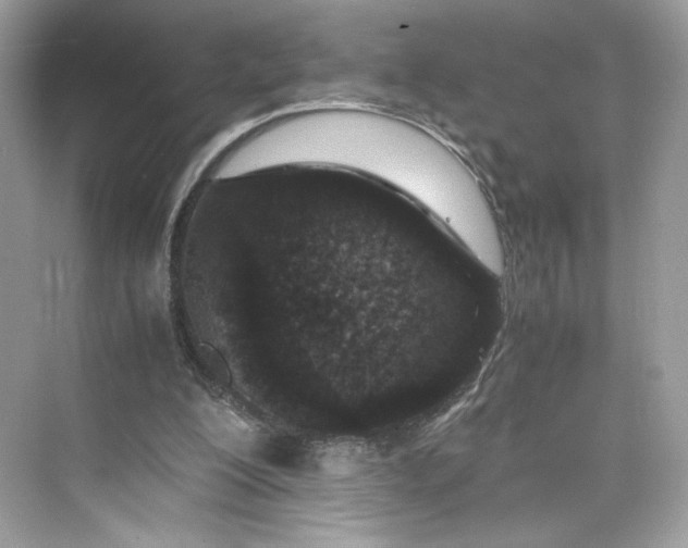 X0000075840200200609291446