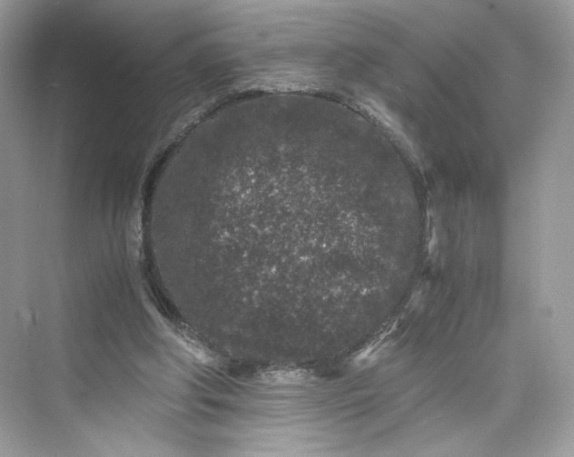 X0000075840202200609291446