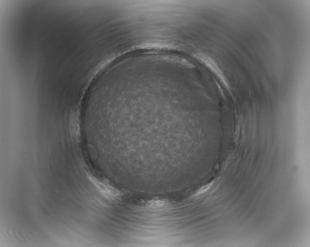 X0000075840204200609291446