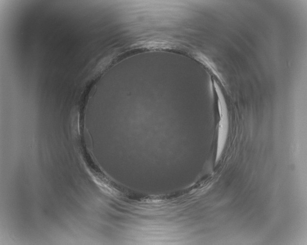 X0000075840205200609291446