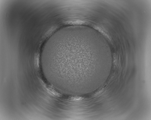 X0000075840206200609291446