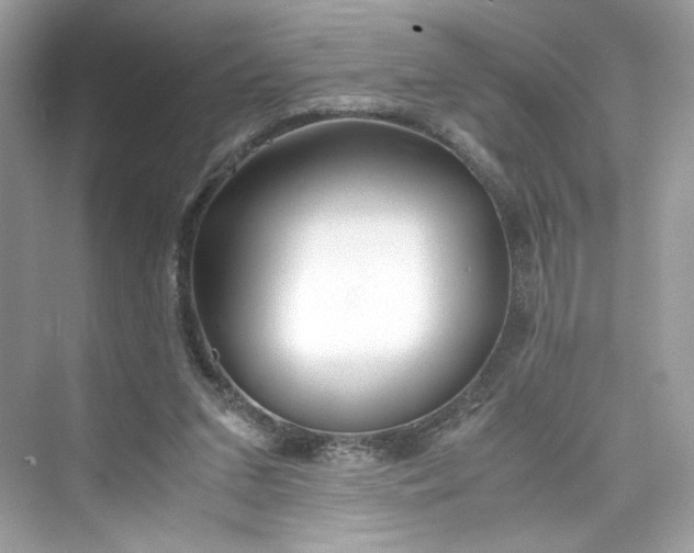 X0000075840207200609291446