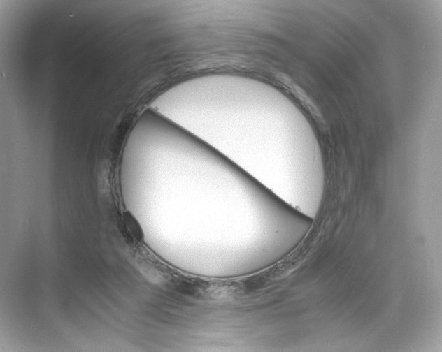 X0000075840209200609291446