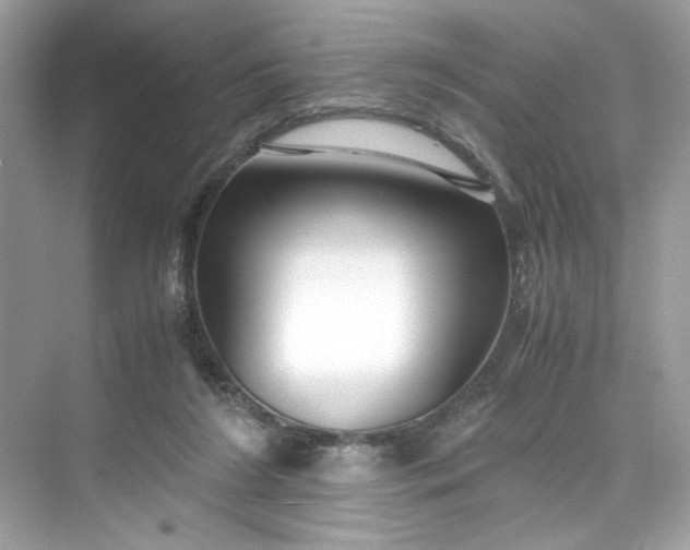 X0000075840212200609291446