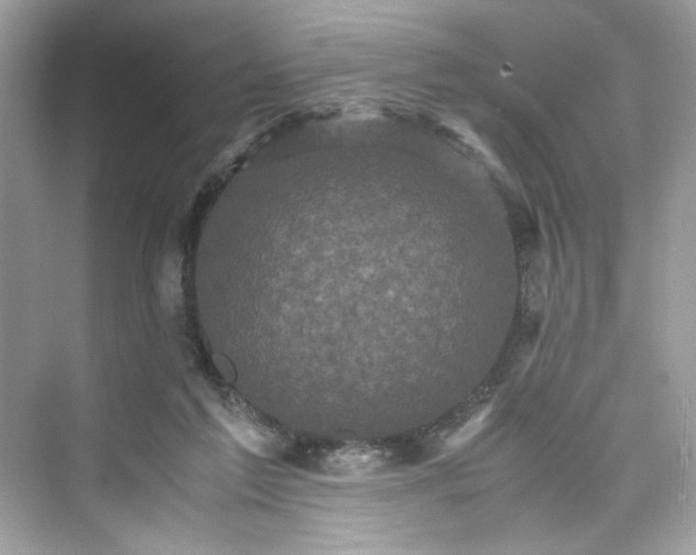 X0000075840213200609291446