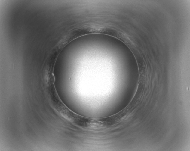 X0000075840215200609291446