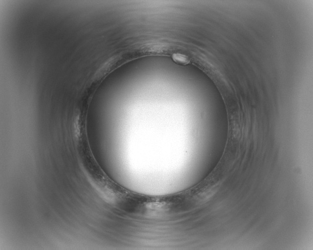 X0000075840216200609291446