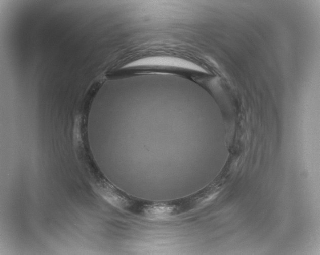 X0000075840217200609291446