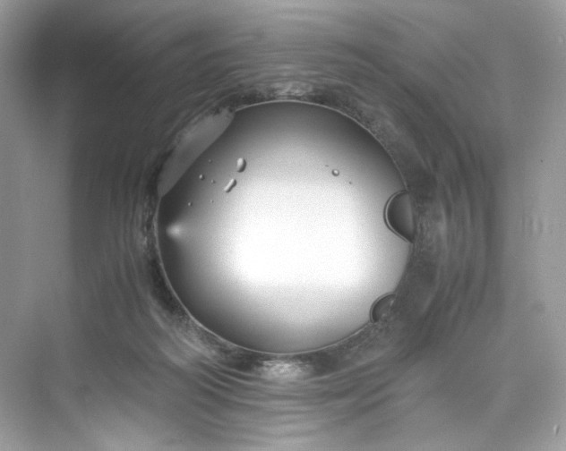 X0000075840218200609291446