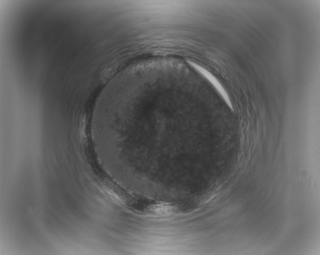 X0000075840219200609291446