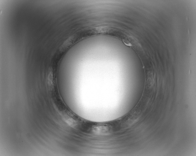 X0000075840220200609291446