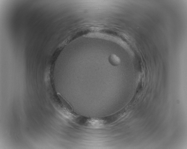 X0000075840221200609291446