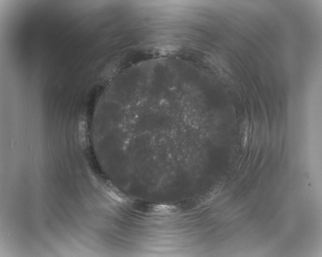 X0000075840222200609291446