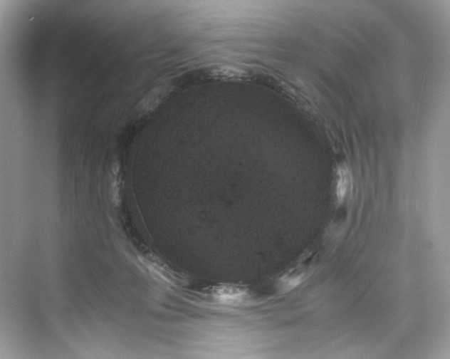 X0000075840223200609291446