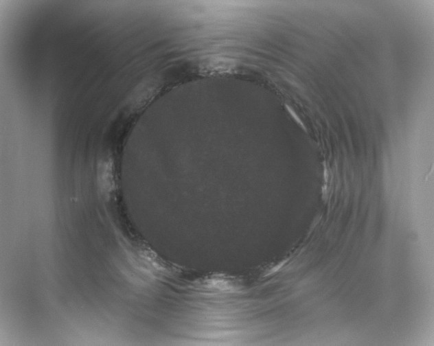 X0000075840224200609291446