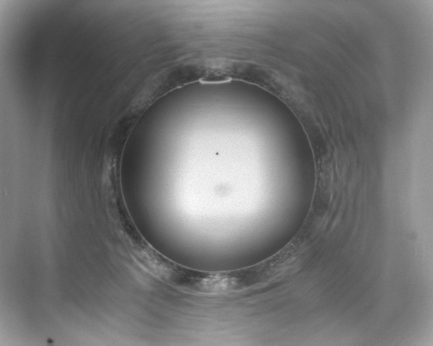 X0000075840225200609291446