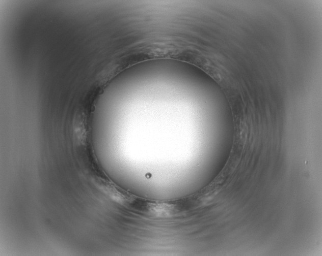 X0000075840226200609291446