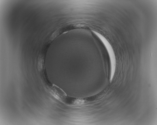 X0000075840227200609291446