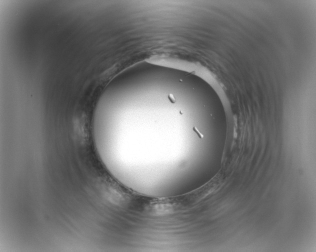 X0000075840228200609291446