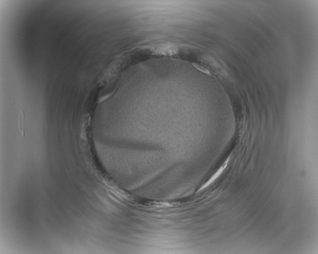 X0000075840229200609291446