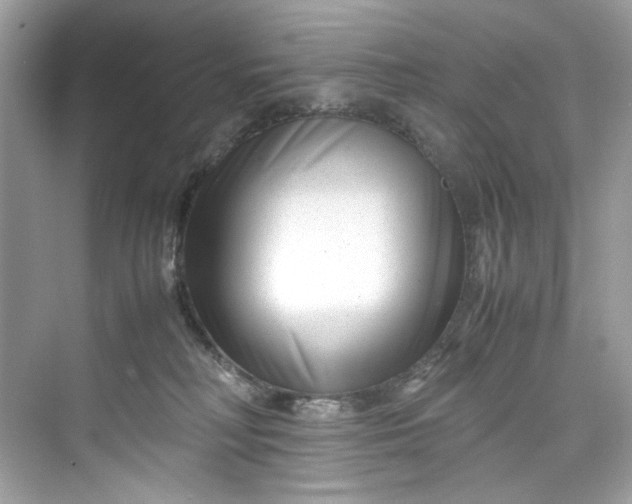 X0000075840230200609291446