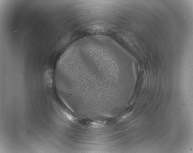 X0000075840232200609291446