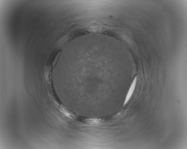 X0000075840233200609291446