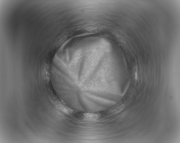 X0000075840234200609291446