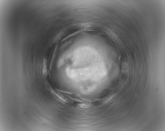 X0000075840238200609291446