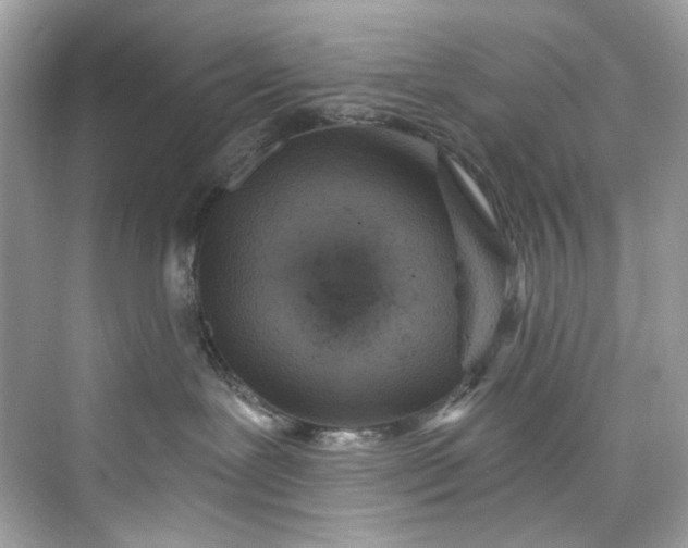 X0000075840239200609291446