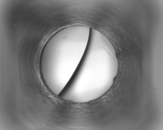 X0000075840241200609291445