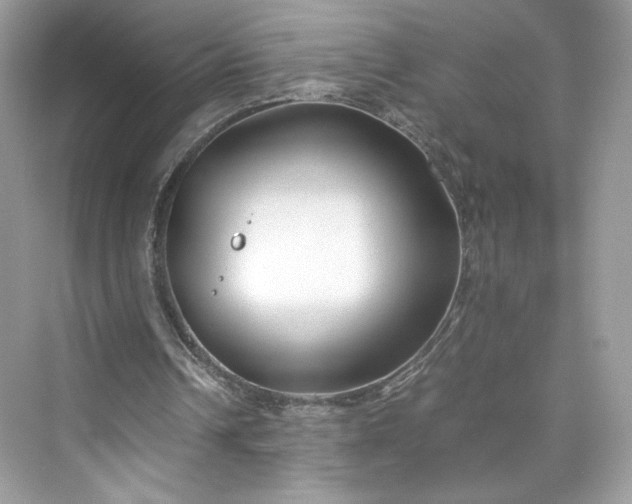 X0000075840242200609291445