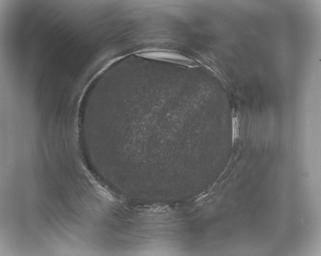 X0000075840243200609291445